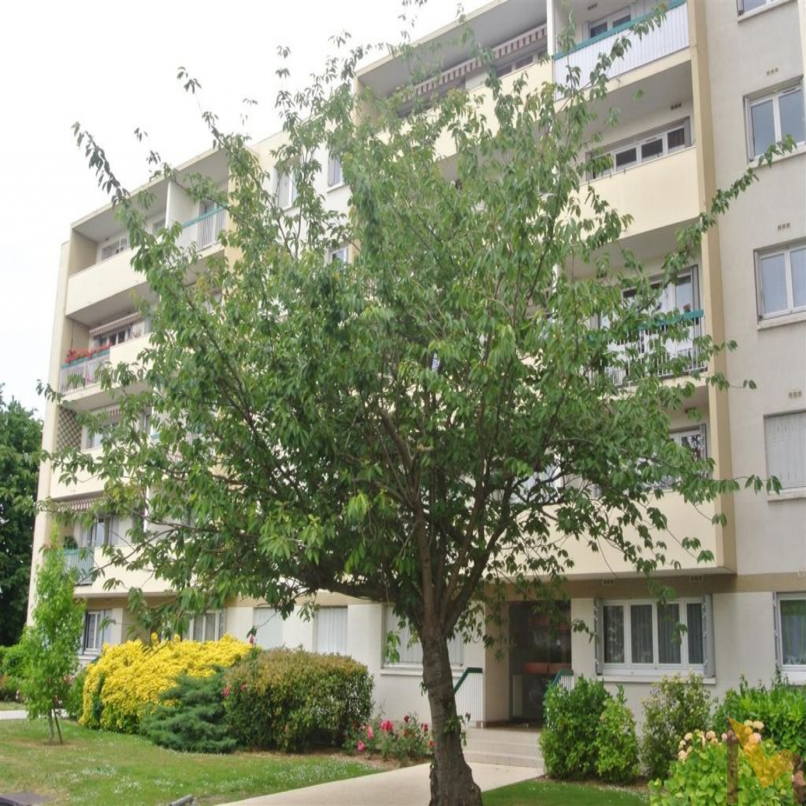 Image_1, Appartement, Neuilly-Plaisance, ref :1820